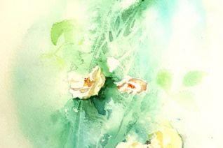 Rozen Rozen