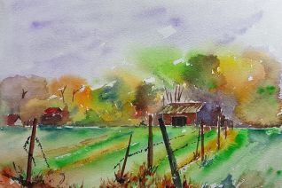 Groene hart Groene hart