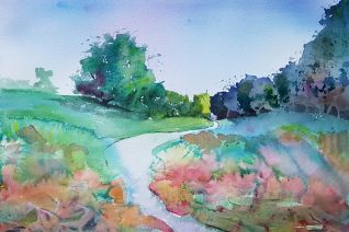 landschap landschap