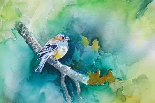 Vink Vink