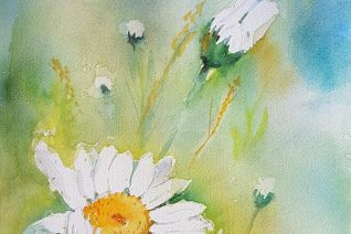 Margriet Margriet