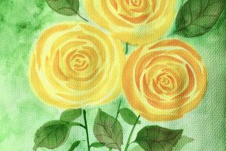Rozen boeket Rozen boeket
