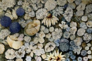 Fantasie - Flowering Fantasie - Flowering