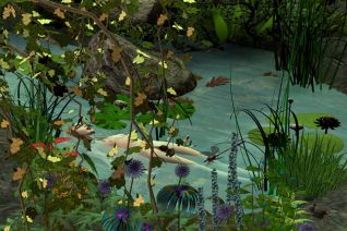 Ophelia Ophelia