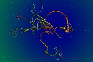 Ani 2_rig30 ap 010 Ani 2_rig30 ap 010