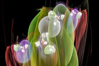"Deepsea sphere garden detail" "Deepsea sphere garden detail"