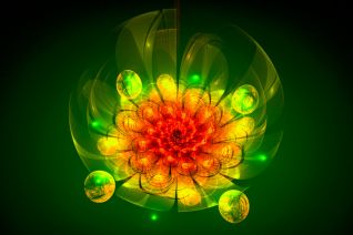 "Green Orange Lotus seeds" "Green Orange Lotus seeds"