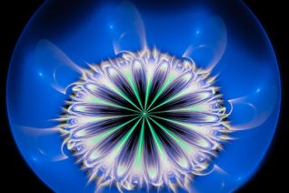 " Lotus Blue" " Lotus Blue"