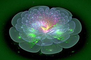 lotus green purple lotus green purple