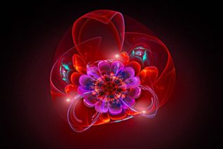 lotus red hart lotus red hart