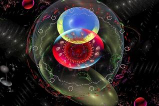 “ The Entwined Knowledge ” “ The Entwined Knowledge ”