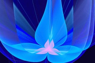 butterfly3D butterfly3D