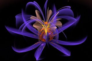 gaussian_blur flower gaussian_blur flower