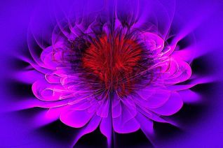 2018 spherical lotus red heart 2018 spherical lotus red heart