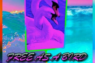 Free as a bird Free as a bird