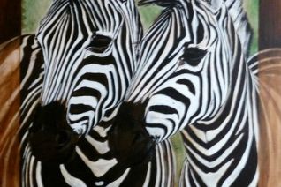 Zebra's Zebra's