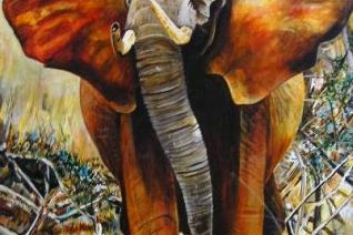Afrikaanse olifant Afrikaanse olifant