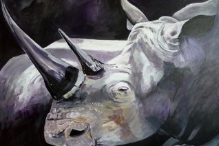 Witte Neushoorn Witte Neushoorn