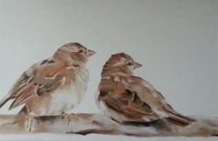 vogels vogels