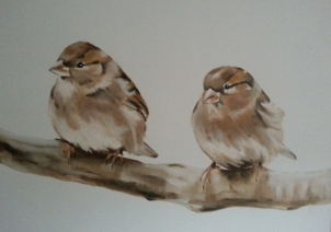 vogels vogels