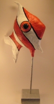 oranje witte vis oranje witte vis
