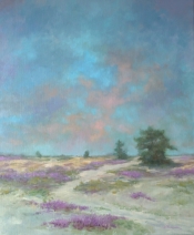 Drents Friese woud Drents Friese woud