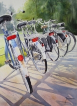 fietsen in de avondzon fietsen in de avondzon