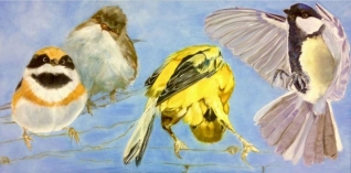 Bright Birdies Bright Birdies