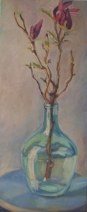 Magnolia Magnolia