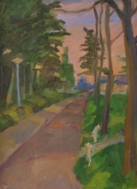 Baden Powellweg Baden Powellweg