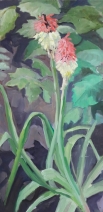 Vuurpijlen in de tuin Vuurpijlen in de tuin