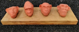 Primatenkoppen Primatenkoppen