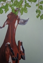 Snoopy Snoopy