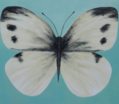 vlinder 2 vlinder 2