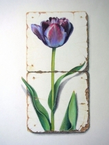 Tulp 'Queen of Night' Tulp 'Queen of Night'