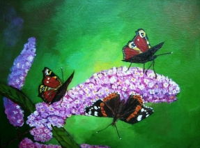 Vlinders Vlinders