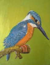 ijsvogel ijsvogel