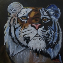 Tijger Tijger