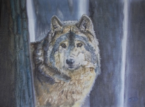 Wolf Wolf
