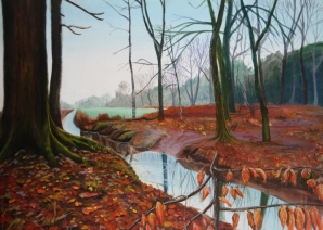 het reeshof bos het reeshof bos