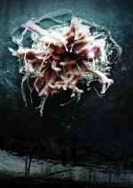 Dahlia 1 Dahlia 1