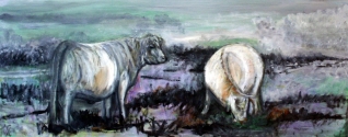 'COWS IN WINTER' 'COWS IN WINTER'