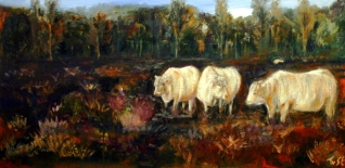'COWS' 'COWS'