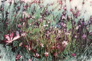 Bloemenwei III Bloemenwei III