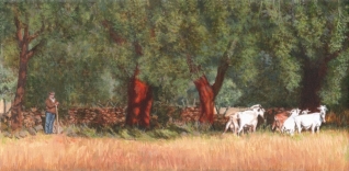 Schapenhoeder in landschap Schapenhoeder in landschap