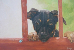 Een puppie Een puppie