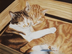 Katten Katten