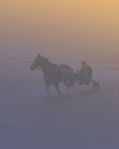Horse at sea 0043 – 1/6 Horse at sea 0043 – 1/6