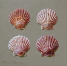 Stilleven met 4 Sint-Jacobschelpen Stilleven met 4 Sint-Jacobschelpen