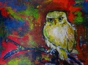 yellow owl yellow owl